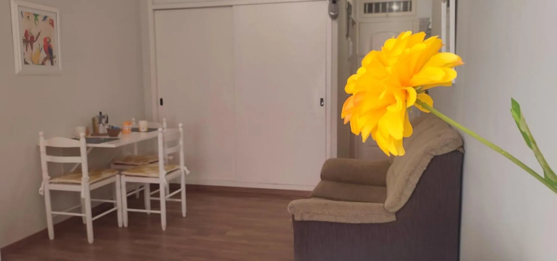 Brisa Del Sol Apartment Puerto de la Cruz  Spain
